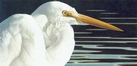 Barbara Banthien Limited Edition Print - Great Egret