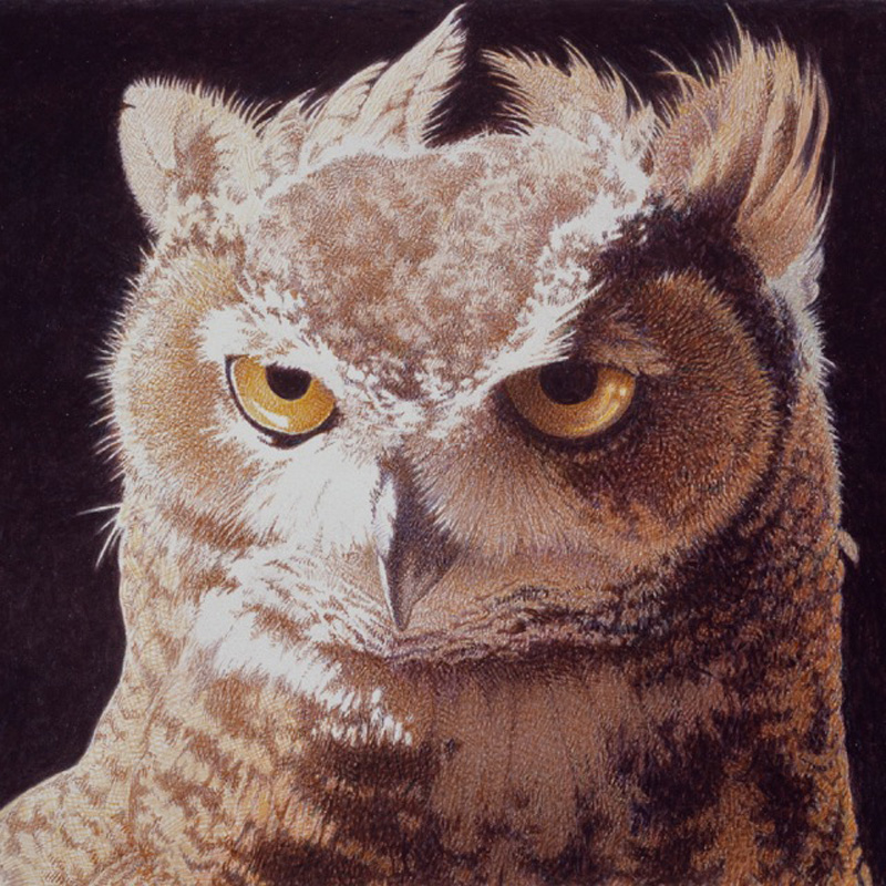 Barbara Banthien Limited Edition Print - Great Horned Owl