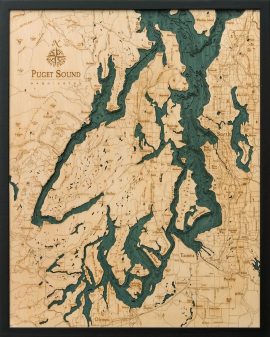 Bathymetric Map Puget Sound, Washington