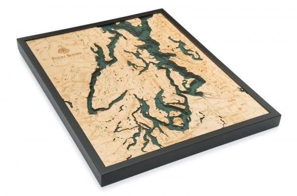 Bathymetric Map Puget Sound, Washington