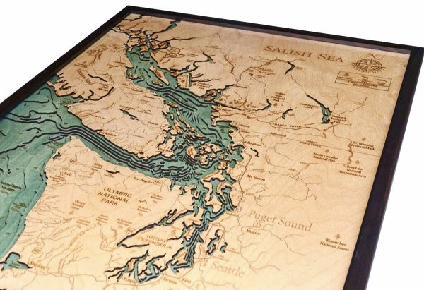 Bathymetric Map Salish Sea, Washington