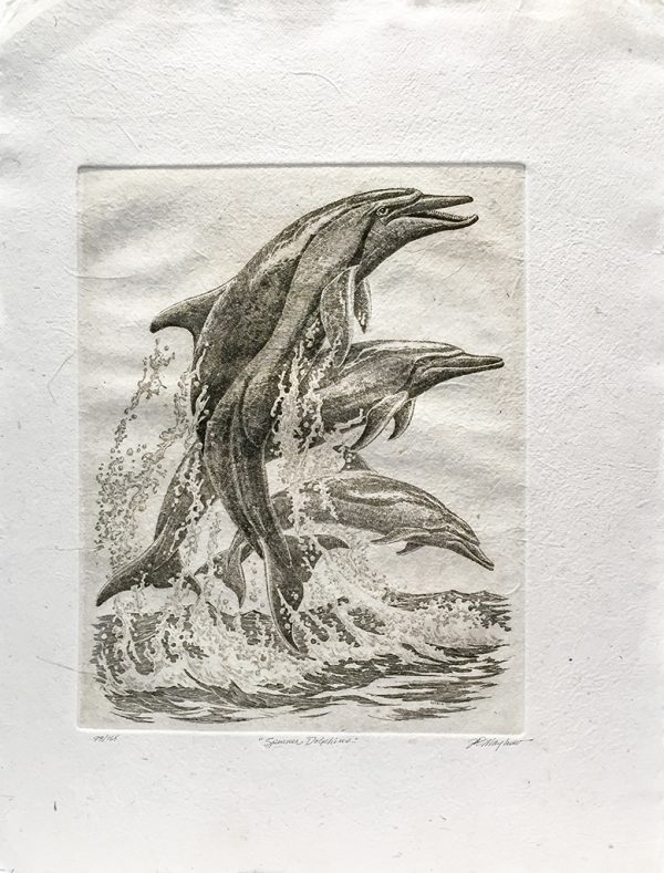 J.D. Mayhew Limited Edition Print - Spinner Dolphins