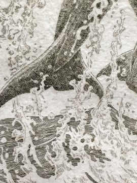 J.D. Mayhew Limited Edition Print - Spinner Dolphins