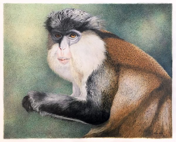 Nancy Charles Original Drawing - Mona Monkey