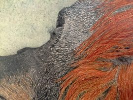 Nancy Charles Original Drawing - Orangutan