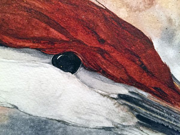 Beki Killorin Original Watercolor - Sand Hill Heron