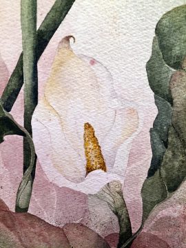 Beki Killorin Original Watercolor Lily