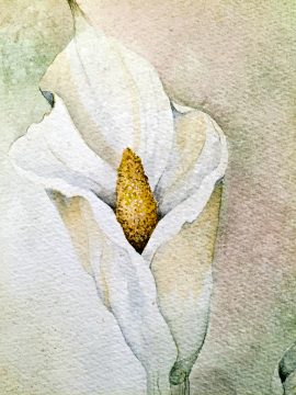Beki Killorin Original Watercolor Lily
