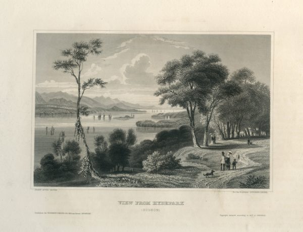 Antique Engraving - View From Hydepark, New York (1854)