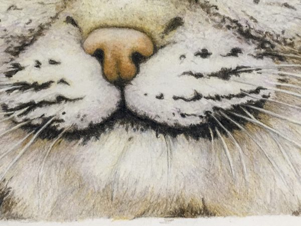 Original Bobcat Drawing - Nancy Charles