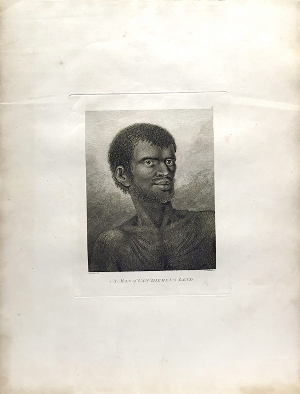 Cook Engraving - A Man of Van Dieman's Land