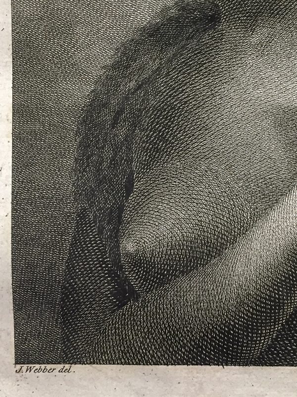 Cook Engraving - A Woman of Van Dieman's Land