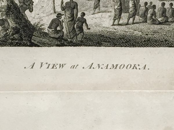 Cook Engraving - A View of Anamooka