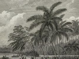Cook Engraving - A View of Anamooka