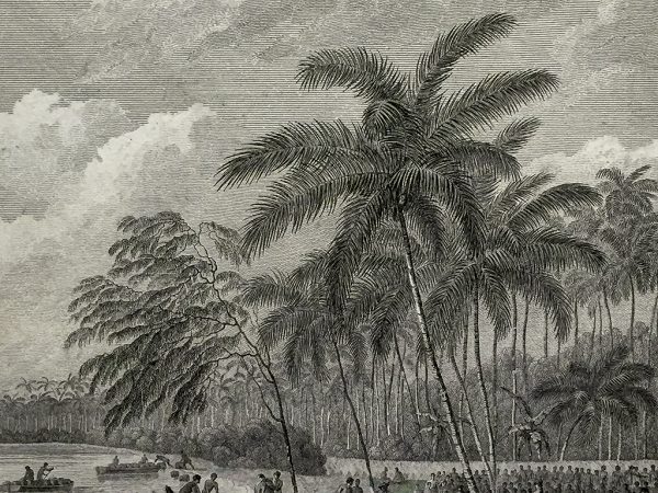 Cook Engraving - A View of Anamooka