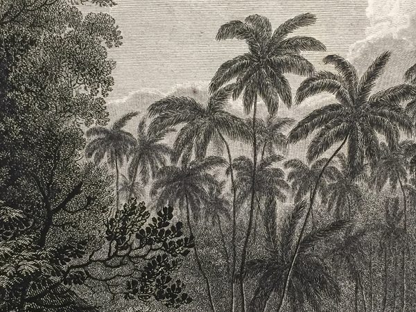 Cook Engraving - A Flatooka or Morai in Tongataboo