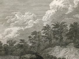 Cook Engraving - The Natche - A Cheremony in Honour of the King's Son in Tongataboo