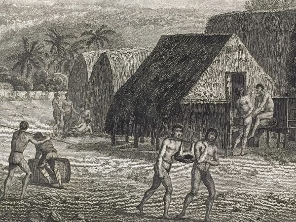 Cook Engraving - An Island View in Atooi