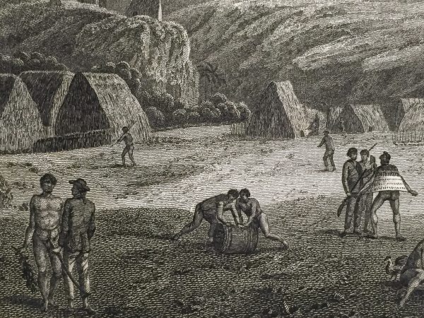 Cook Engraving - An Island View in Atooi