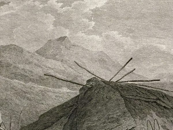 Cook Engraving - The Tschuktschi and Their Habitations