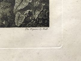 Cook Engraving - An Offering Before Captain Cook in the Sandwich Islands