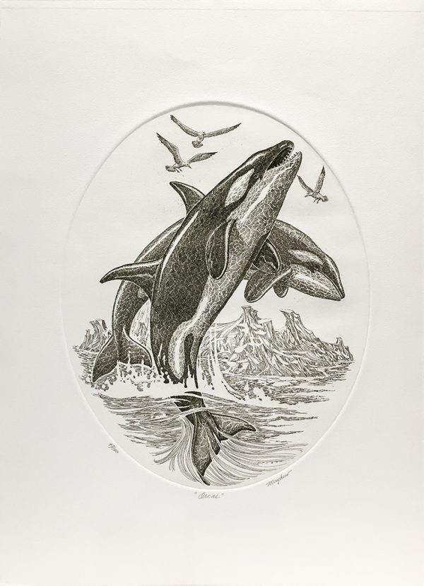 J.D. Mayhew Limited Edition Print - Orcas