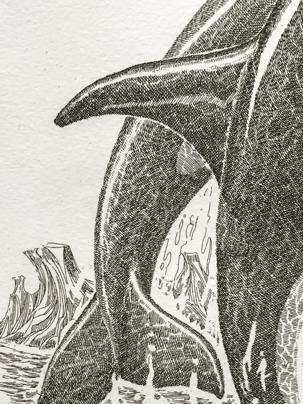 J.D. Mayhew Limited Edition Print - Orcas
