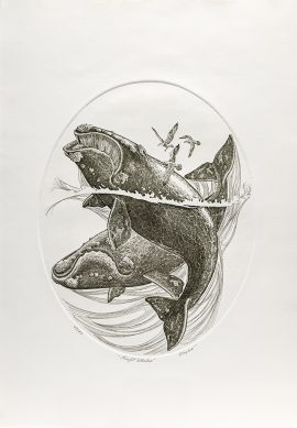 J.D. Mayhew Limited Edition Print - Right Whales