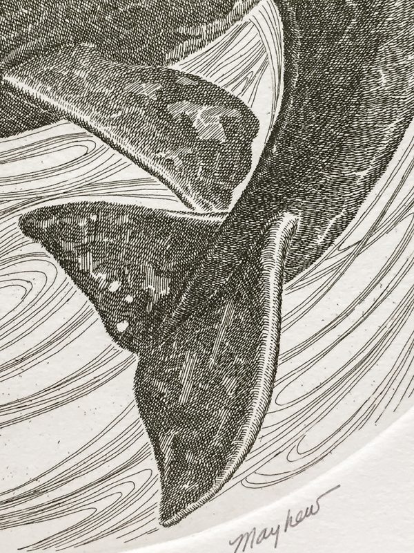 J.D. Mayhew Limited Edition Print - Right Whales