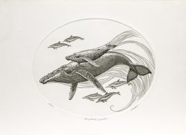 J.D. Mayhew Limited Edition Print - Humpback Whales