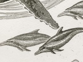 J.D. Mayhew Limited Edition Print - Humpback Whales