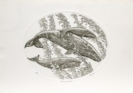 J.D. Mayhew Limited Edition Print - Gray Whales