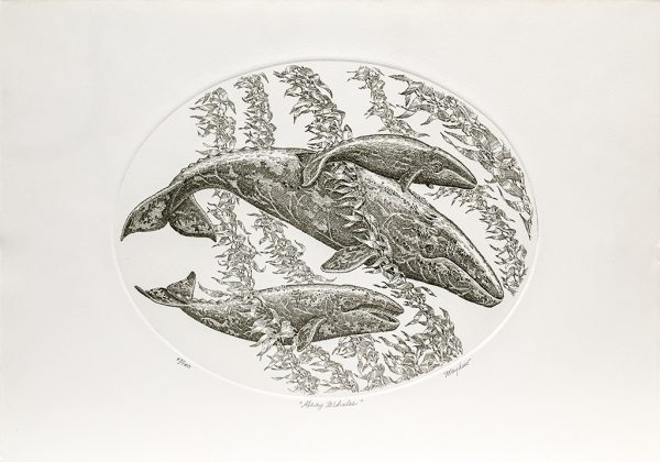 J.D. Mayhew Limited Edition Print - Gray Whales