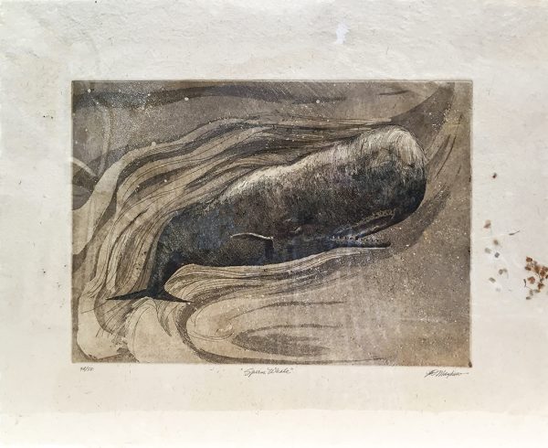 J.D. Mayhew Limited Edition Print - Sperm Whale