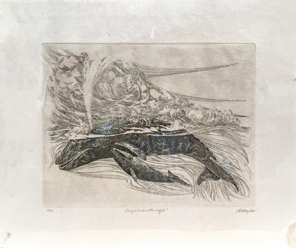 J.D. Mayhew Limited Edition Print - Gray Whale with Calf II