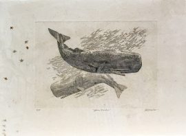 J.D. Mayhew Print - Sperm Whales