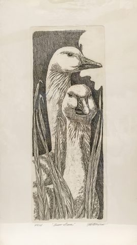 J.D. Mayhew Print - Snow Geese