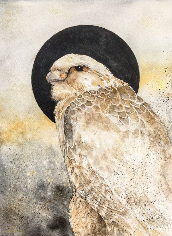 Beki Original Watercolor - Hunter Falcon Original