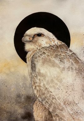 Beki Killorin Limited Edition Print - Falcon