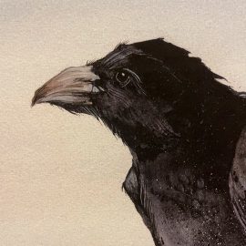 Beki Killorin Limited Edition Print - Raven Conspiracy
