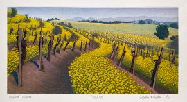 Stephen McMillian - Mustard Flowers